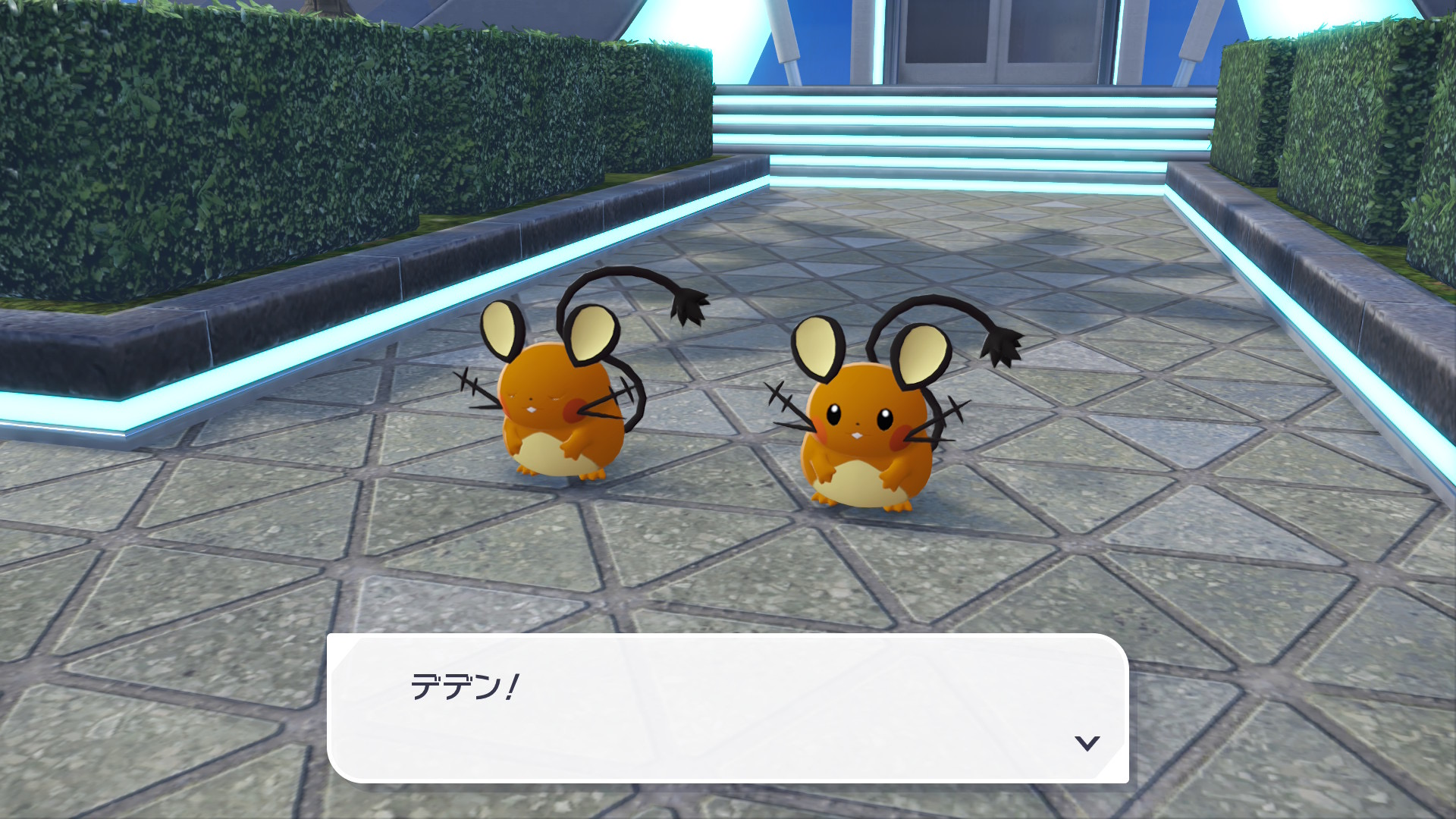 ダブルデデンネ